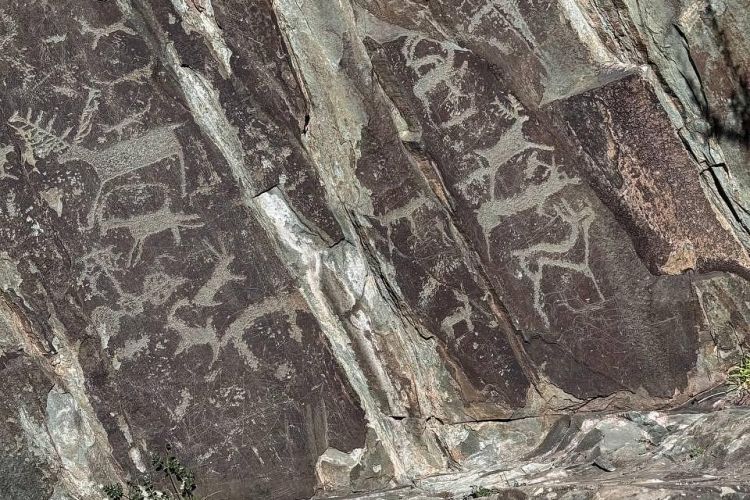 PROАлтай: Энергия гор