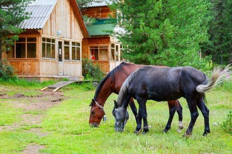 По просторам Хакасии и Тывы