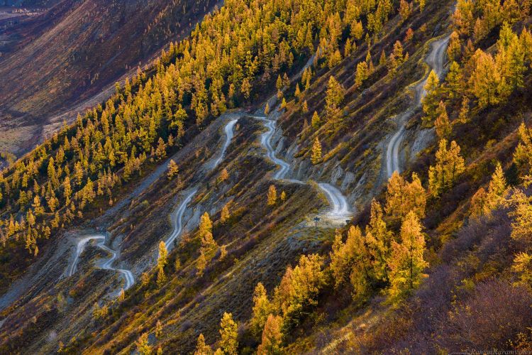 Алтай. Осенний блюз