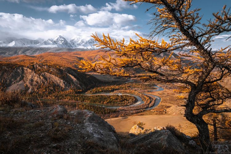 Алтай. Осенний блюз